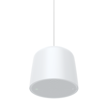 Load image into Gallery viewer, Santa Cruz Video Security LLC - Image - AXIS C1511 Network Pendant Speaker
